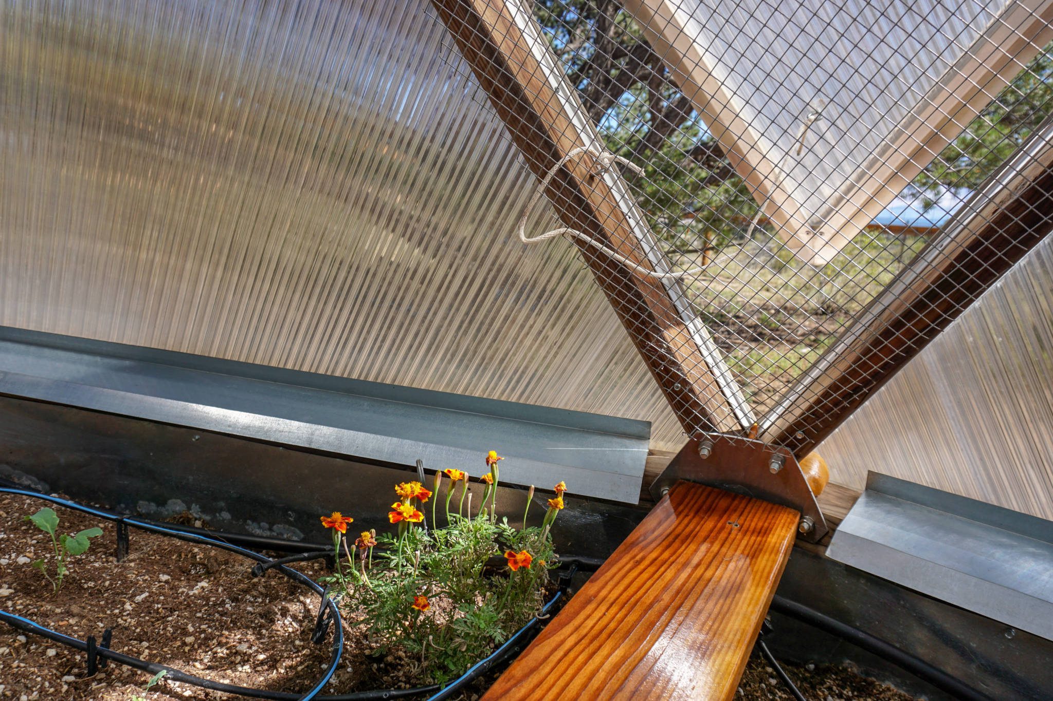 Rodent Protection in a greenhouse
