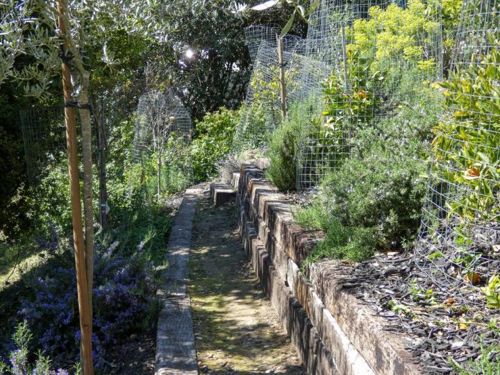 Terrace Gardens on Modern Homestead