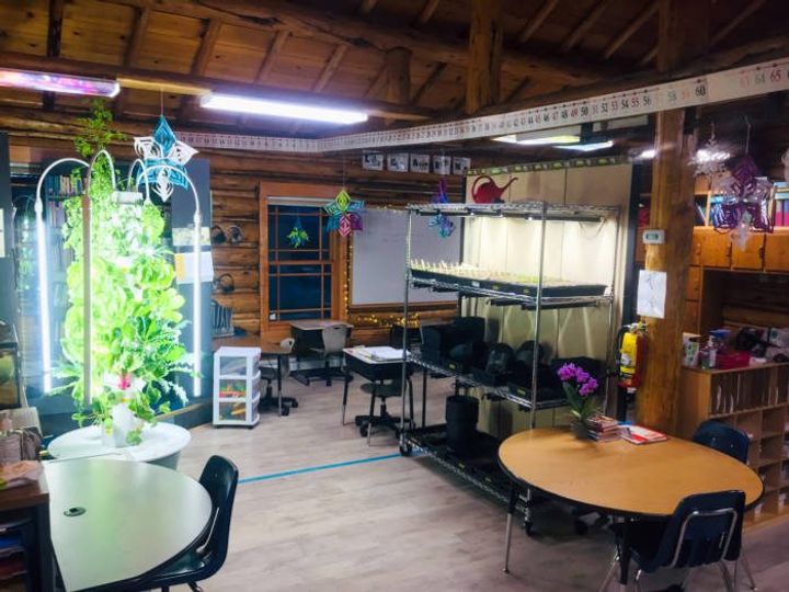starting seedlings in the classroom with grow lights