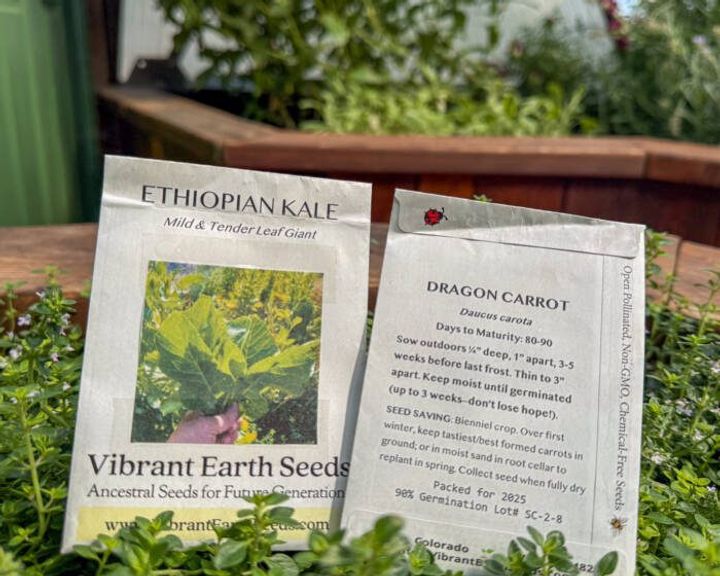 Two Vibrant Earth seed packets propped up in a thyme plant