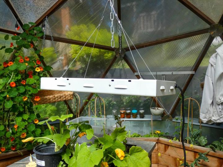 Grow lights that can help with seed starting hang from the ceiling of a growing dome greenhouse with plants growing all around