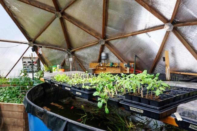 Seedling trays arranged over the above-ground pond inside a Growing Dome greenhouse