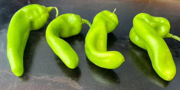 Hatch Chili on flat-top grill