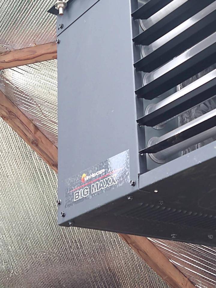 Dome heater