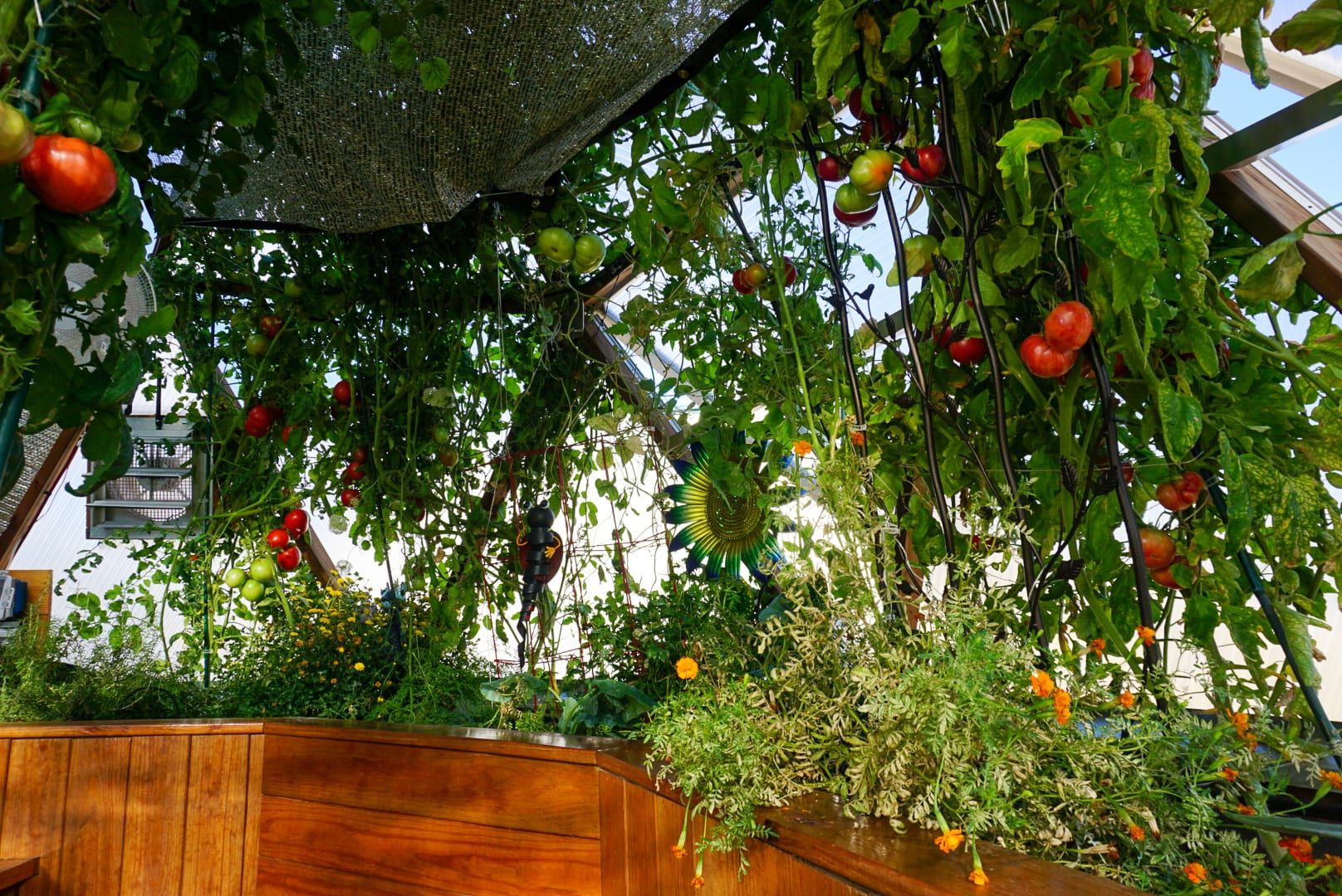 Greenhouse Planting Guide - South Zone