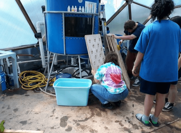 Students working with an aquaponics system inside the Asheville Growing Dome