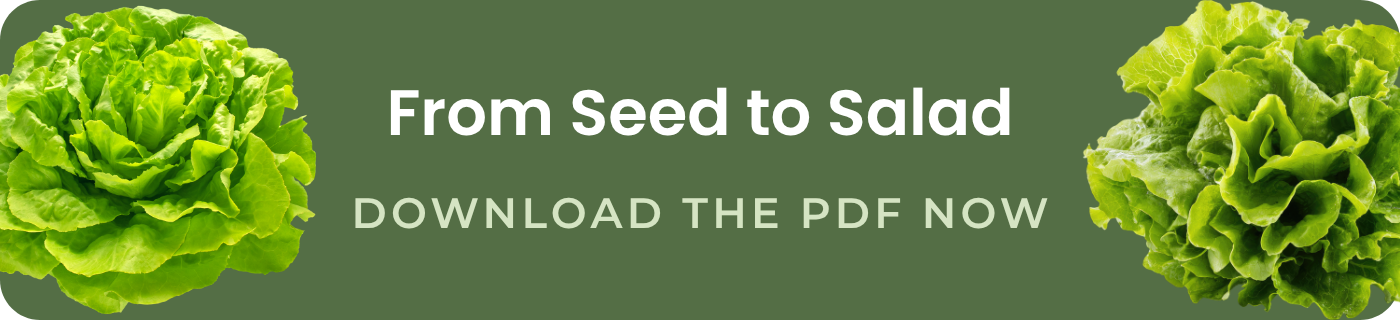 from seed to salad download the pdf now