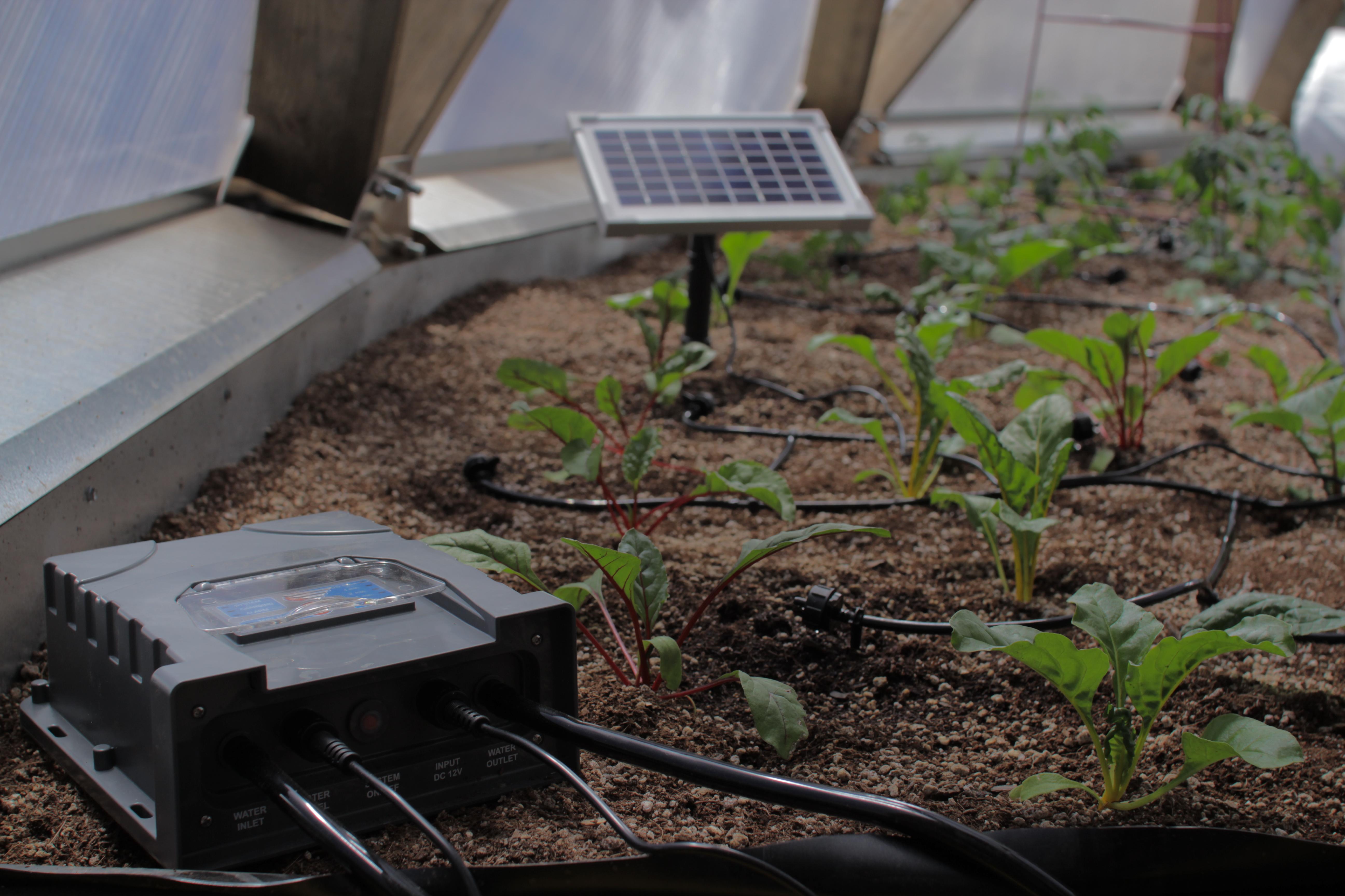 Solar irrigation system control box, solar panel, and drip line in a garden bed with young plants