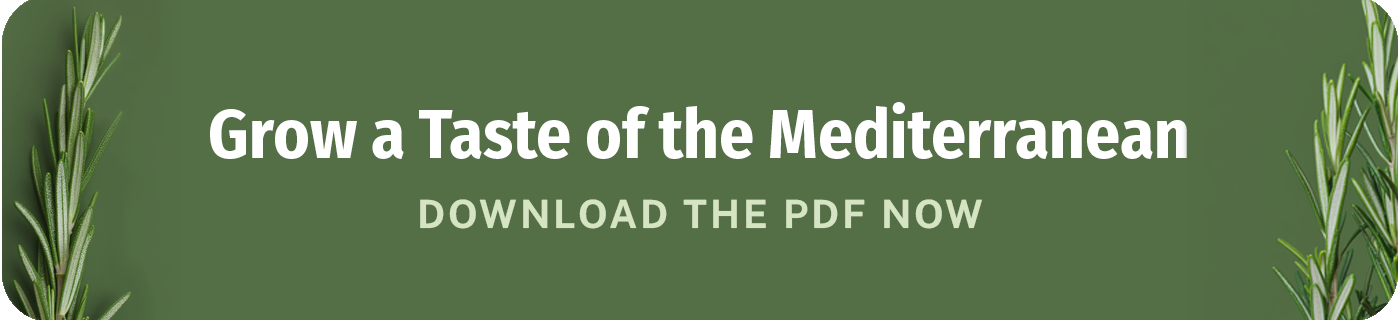 grow a taste of the mediterranean download the rosemary pdf now