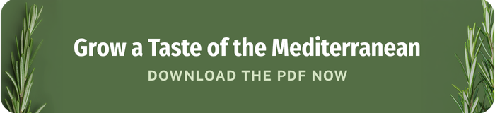 grow a taste of the mediterranean download the rosemary pdf now