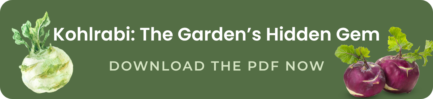 kohlrabi the garden's hidden gem download the pdf now