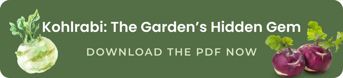 kohlrabi the garden's hidden gem download the pdf now