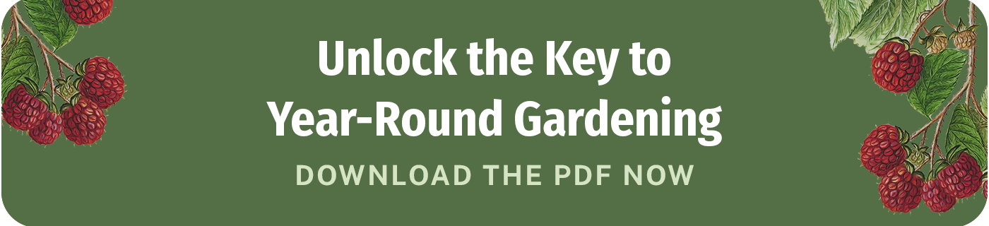 Green banner with raspberry that talks about a PDF download