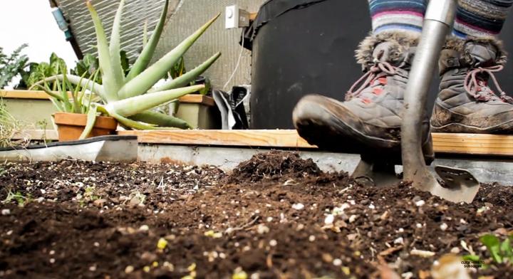 How deep you should go when turning soil for amendments