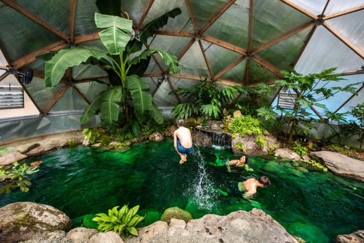 tropical greenhouse pond