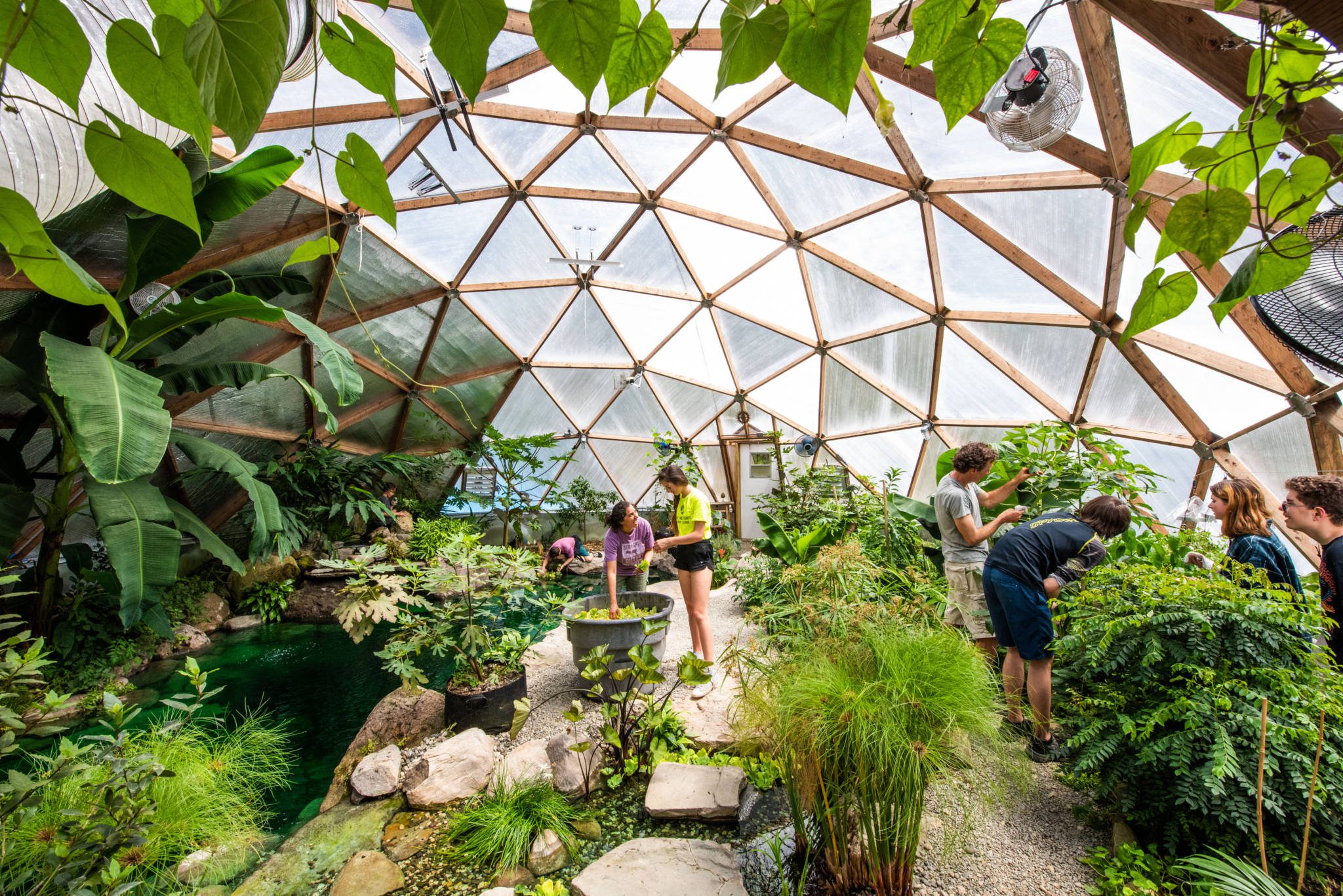 inside a tropical oasis in a geodesic dome