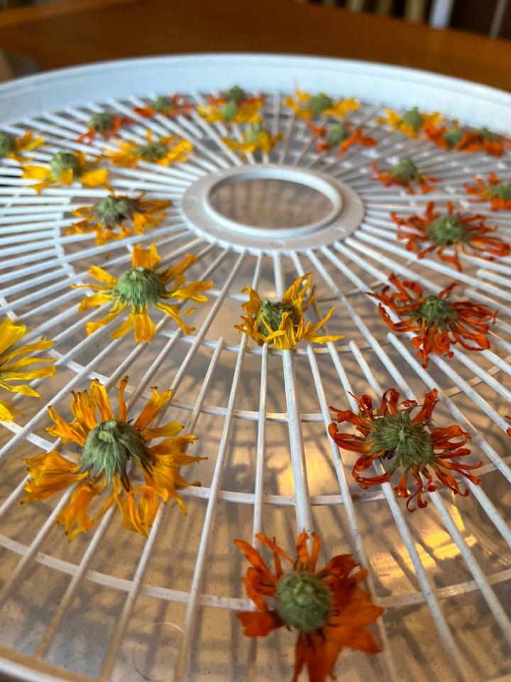 drying calendula flowers for thoughtful handmade gift