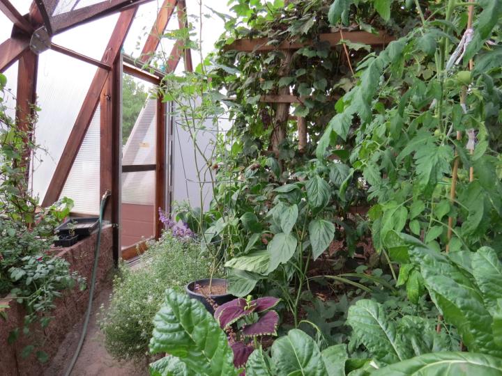 growing dome inside