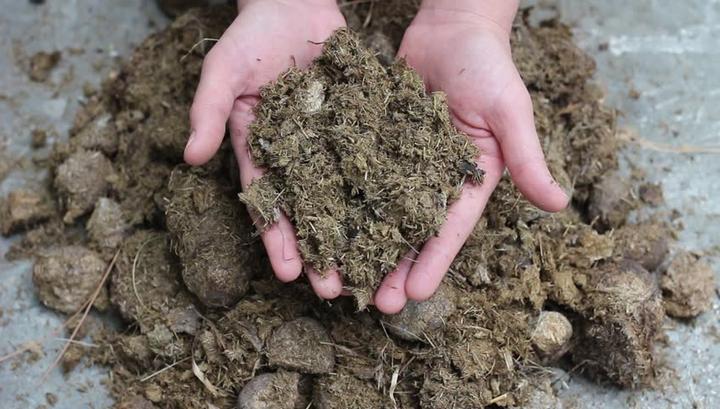 manure for hydrophobic soil