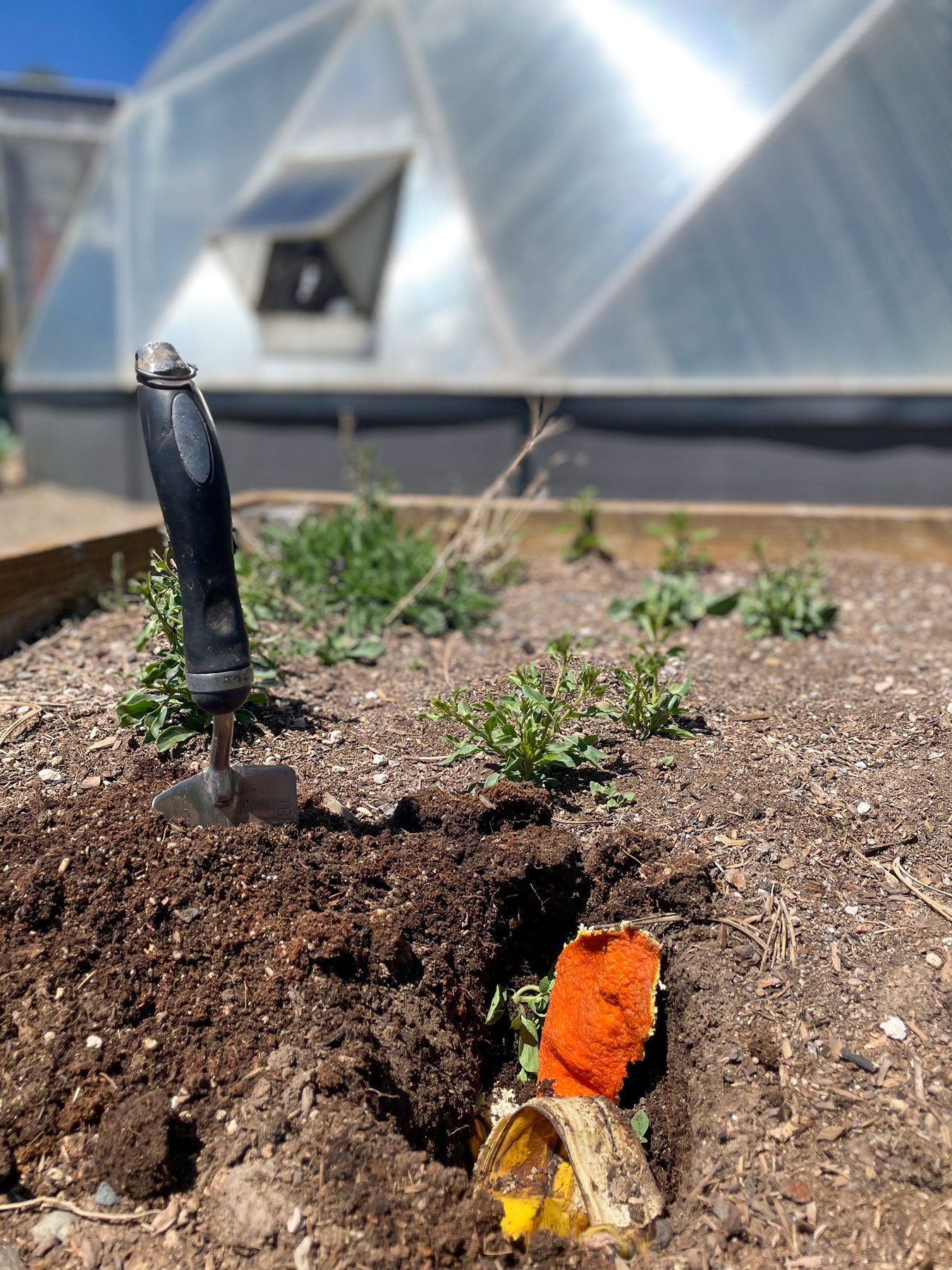 Greenhouse Soil & Compost image