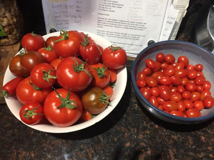 tomatoes