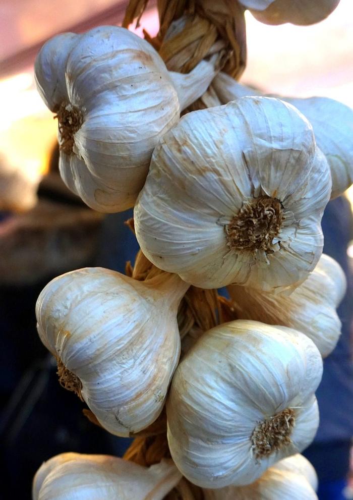 store your garlic by braiding it
