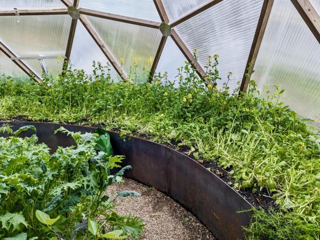 Curved raised beds and a central pond inside a Growing Dome in Medford, Massachusetts