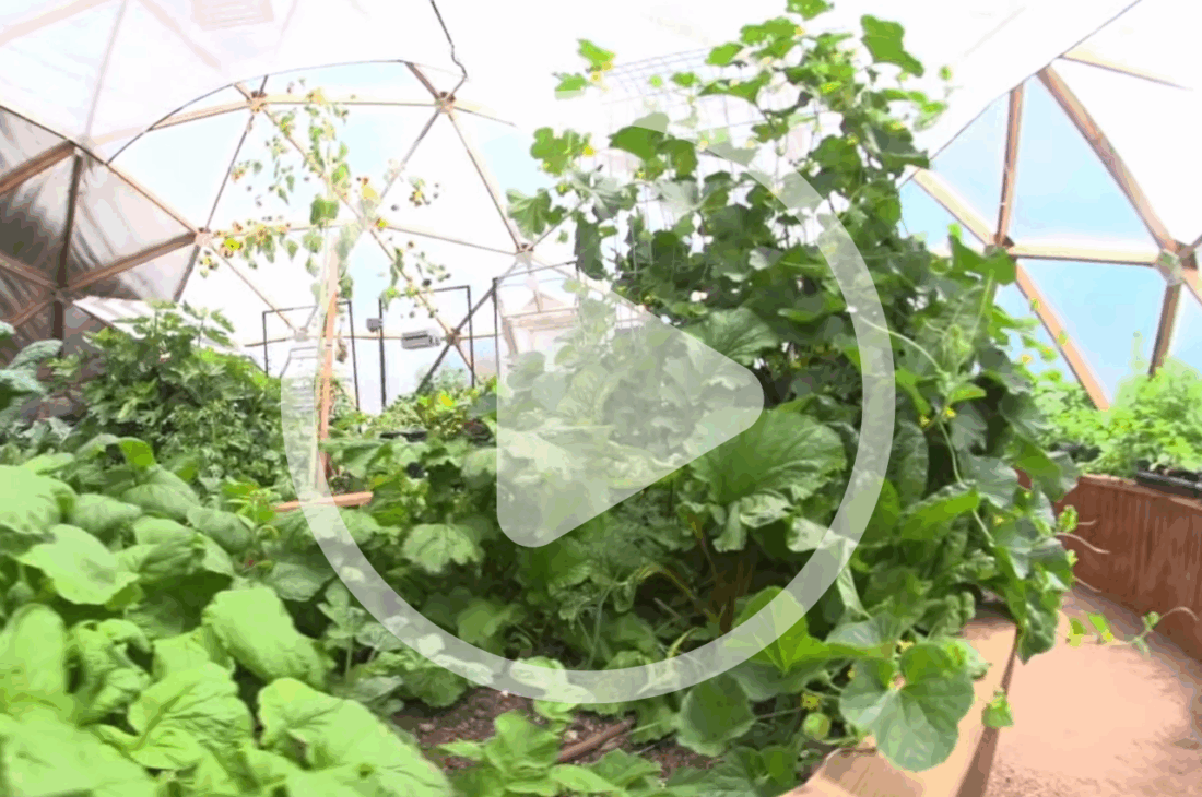 Growing Spaces on the Mother Earth News Podcast image