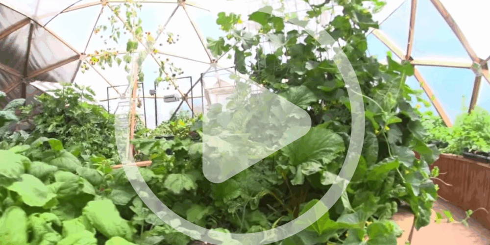 Growing Spaces on the Mother Earth News Podcast image