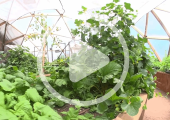 Growing Spaces on the Mother Earth News Podcast image