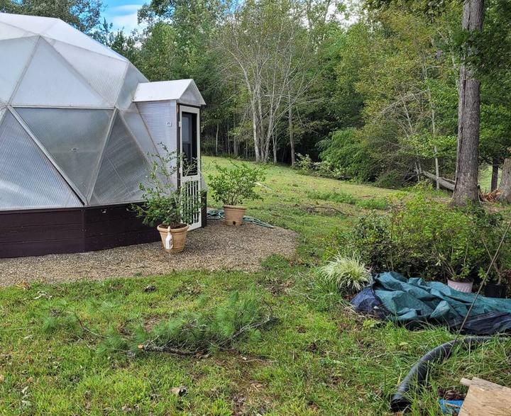 Growing dome surrounded by debris and a fallen tree
