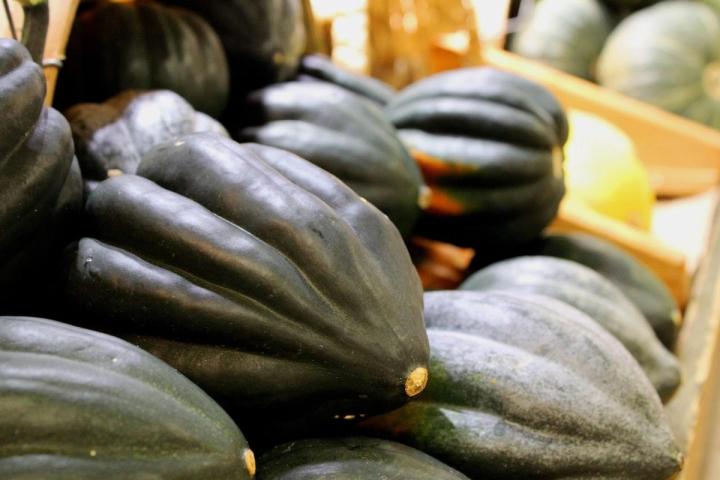 Acorn squash Pixabay photo