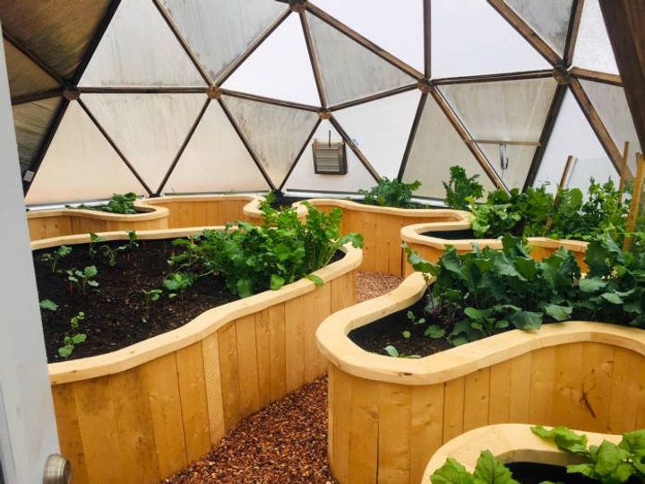 beautiful raised wooden beds in the dome