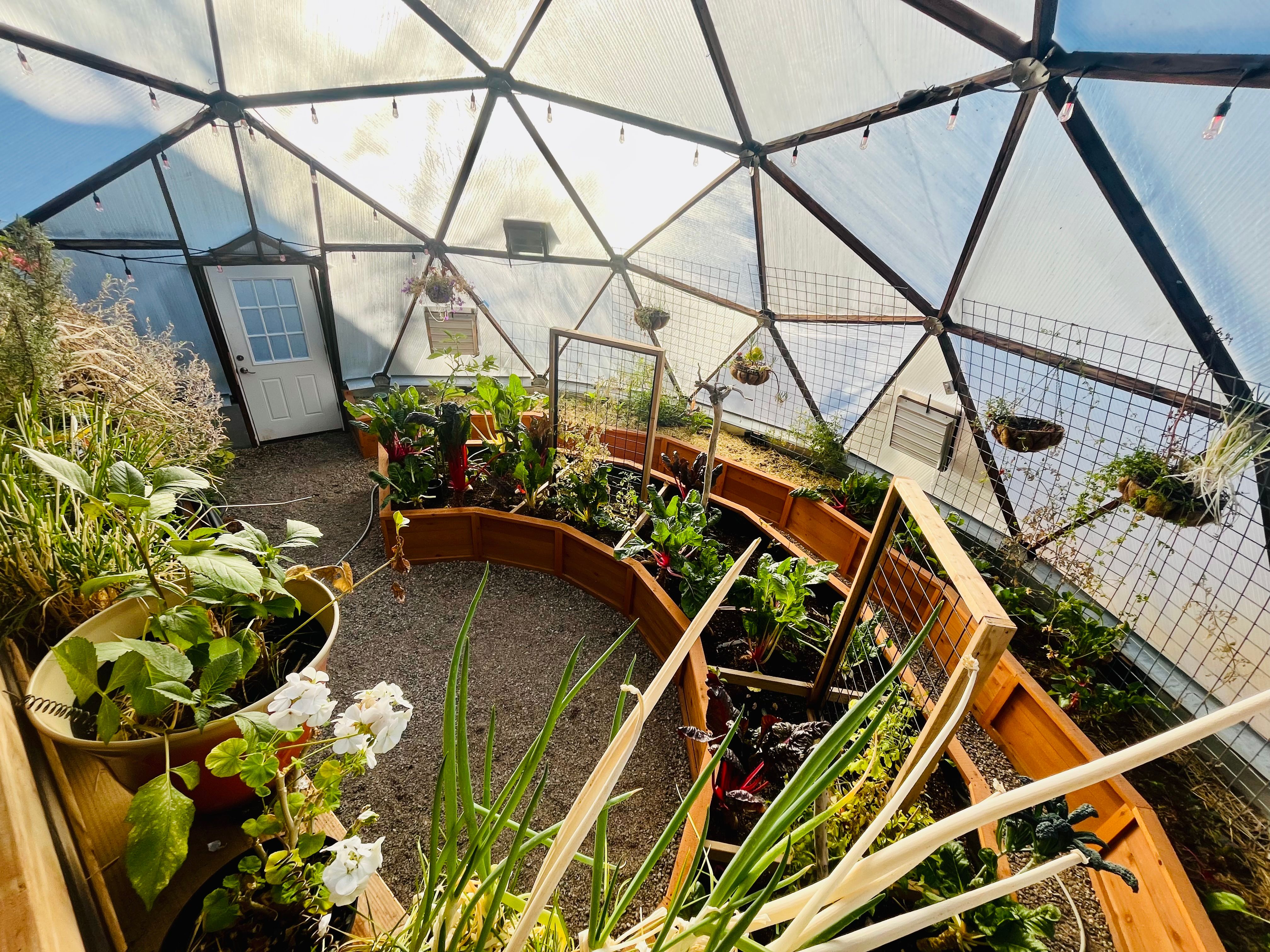 Backyard Boxes garden beds in a Growing dome greenhouse filled with vegetables