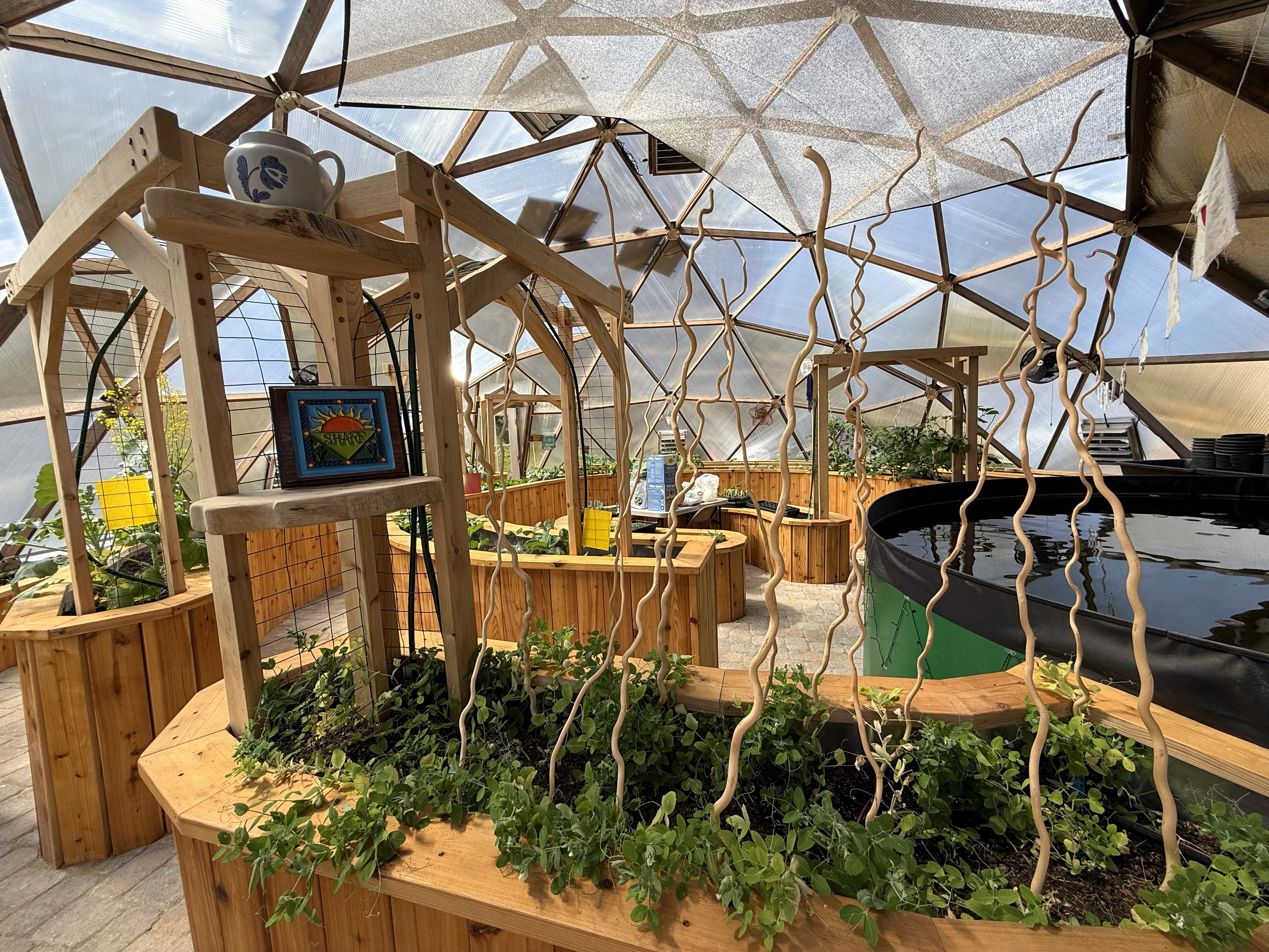 Raised beds in Kula Kamala dome have twisted dried wood raising out of the beds and shelving for art and pottery