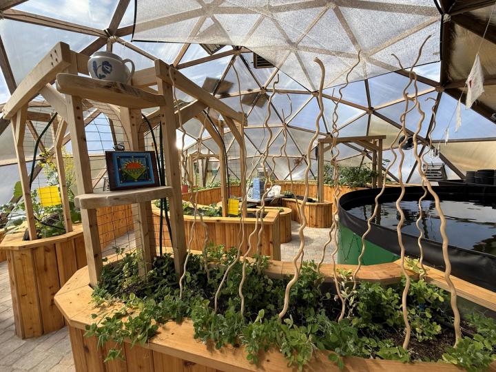 Raised beds in Kula Kamala dome have twisted dried wood raising out of the beds and shelving for art and pottery
