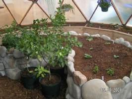 raised garden beds in a greenhouse made out of stone