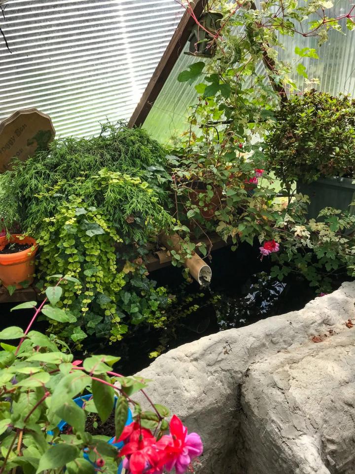 raised bed