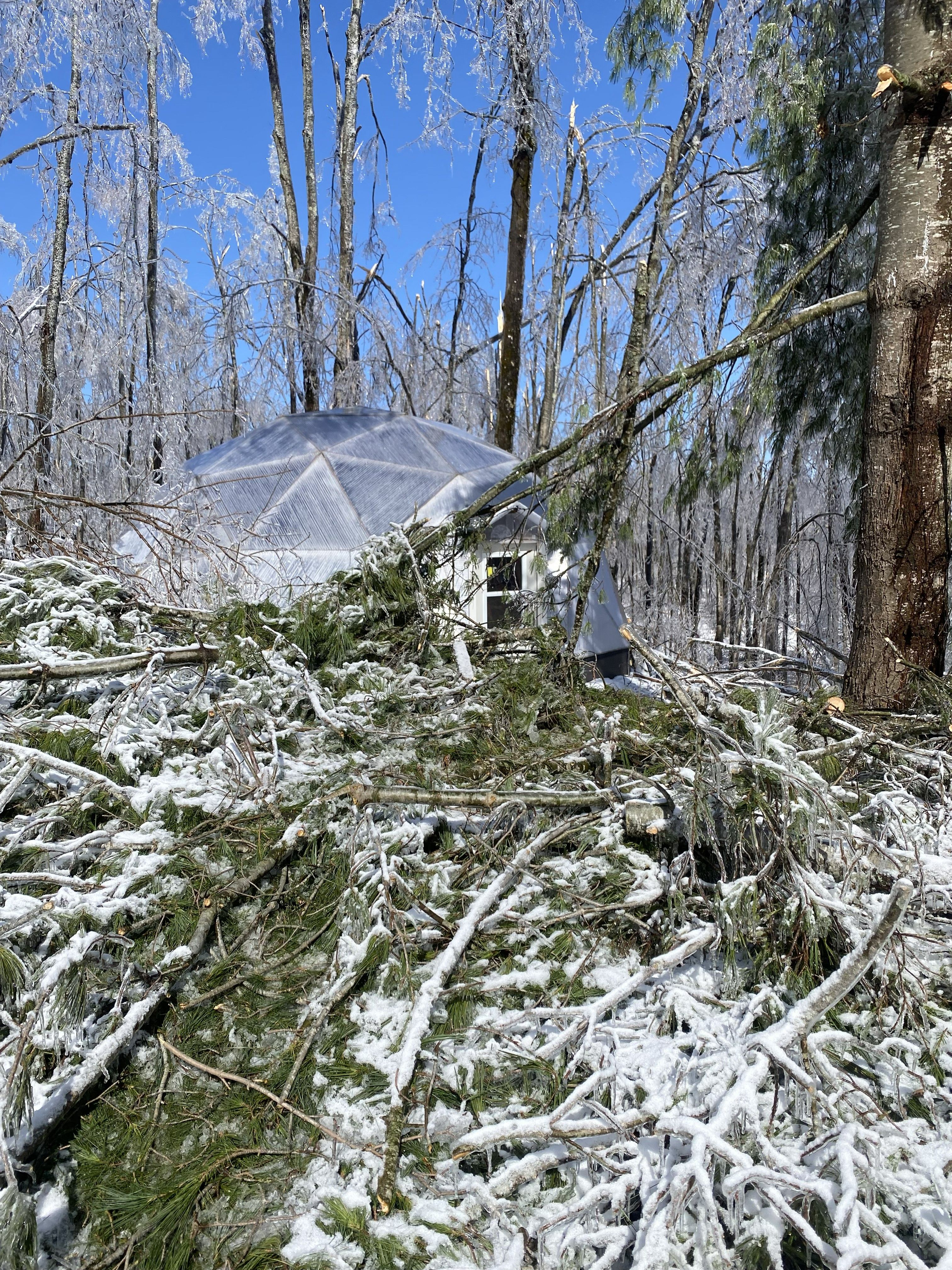 another view of the evergreen tree tops piled outside the growing dome greenhouse after an ice storm