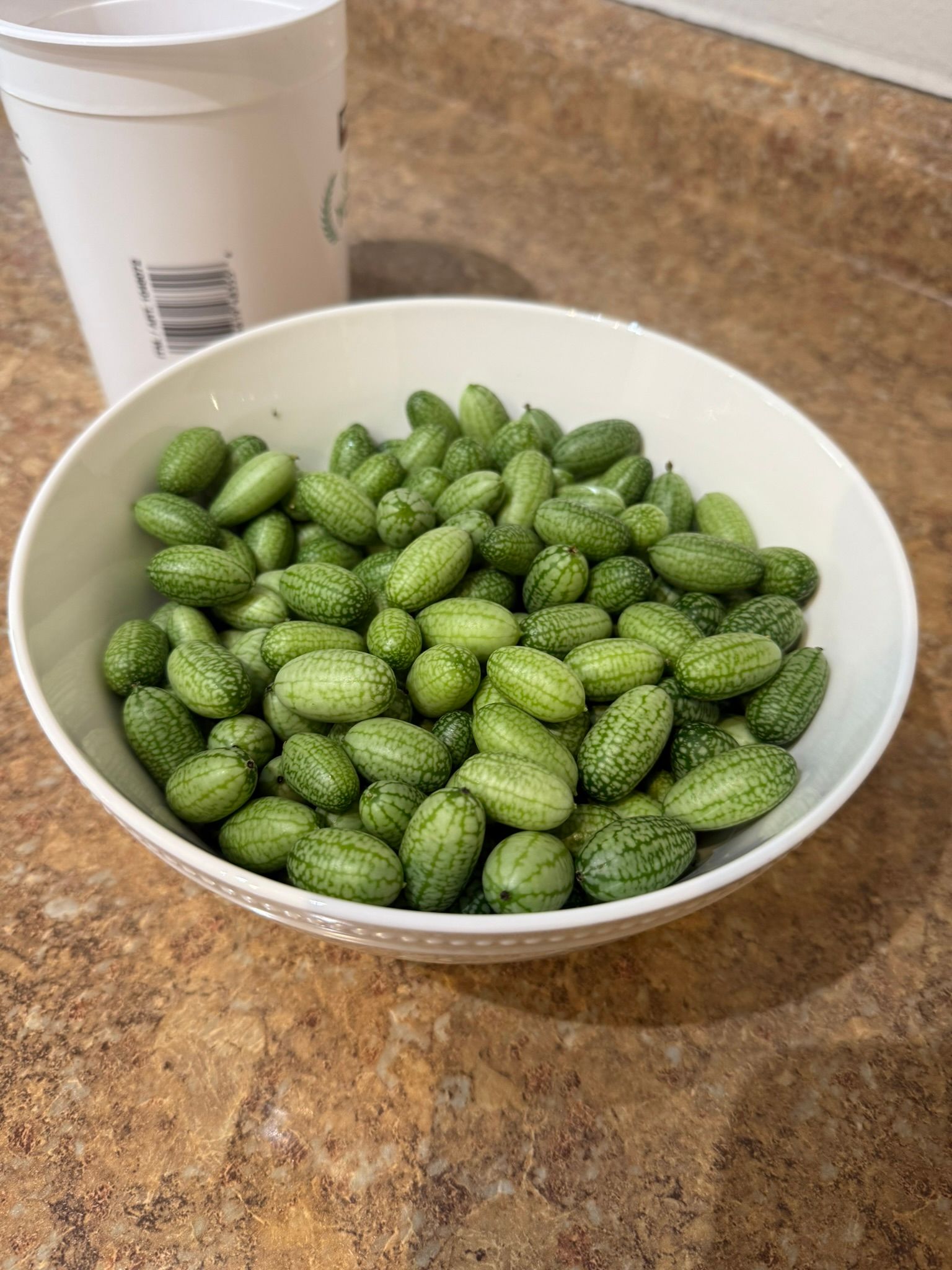 bowl full of cucamelons on a counter