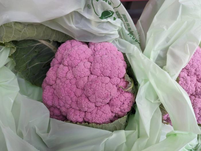 harvested purple cauliflower