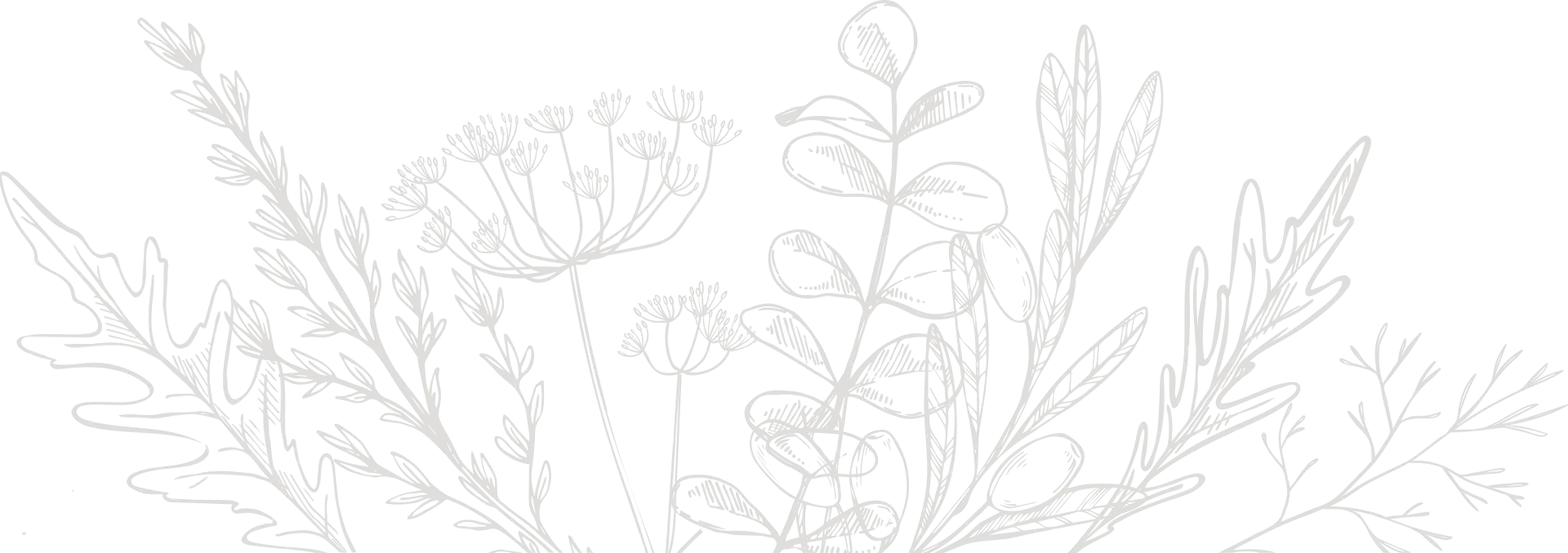 Fougere illustration