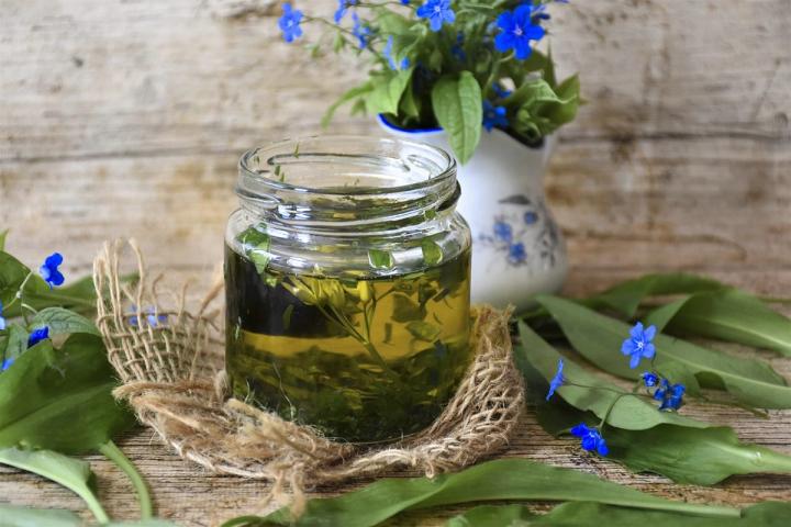 wild garlic oil Pixaby photo