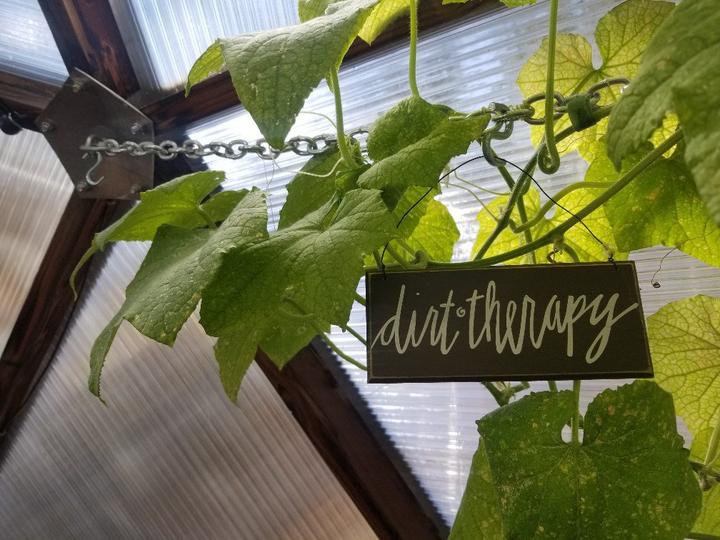 dirt therapy sign