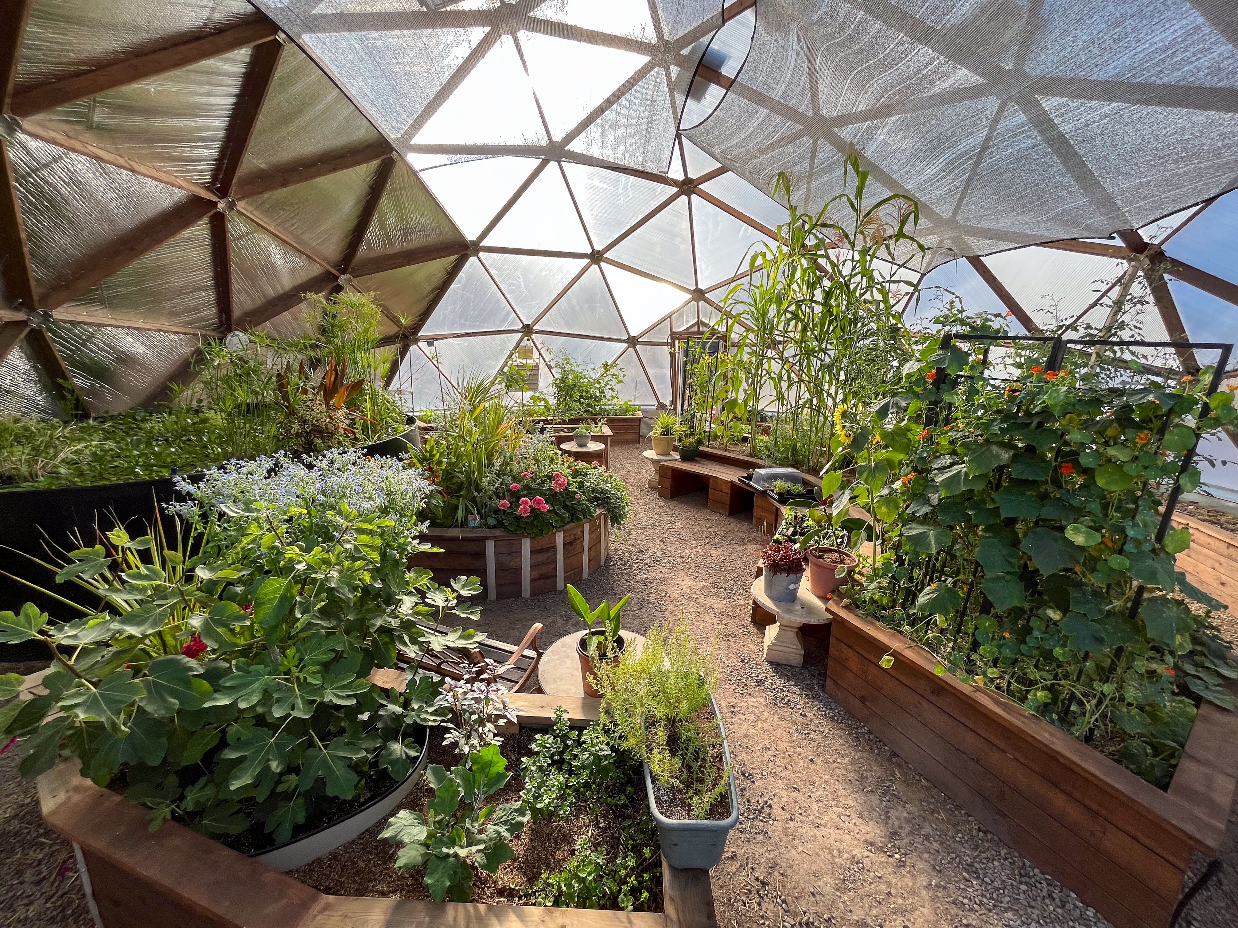 Inside a Growing Dome greenhouse with raised beds and above-ground pond