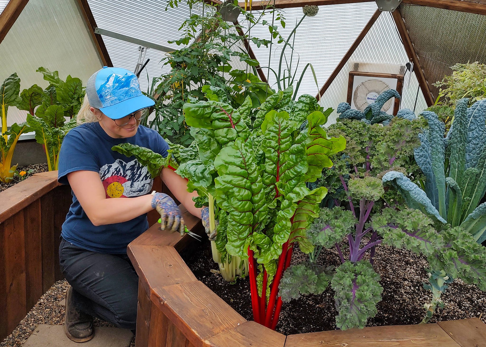 Gardner tends to plants in a residential growing dome