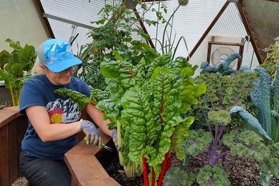 Gardner tends to plants in a residential growing dome