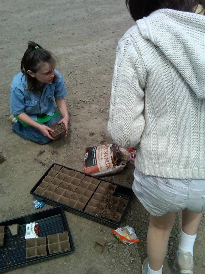 planting seeds for the dome greenhouse