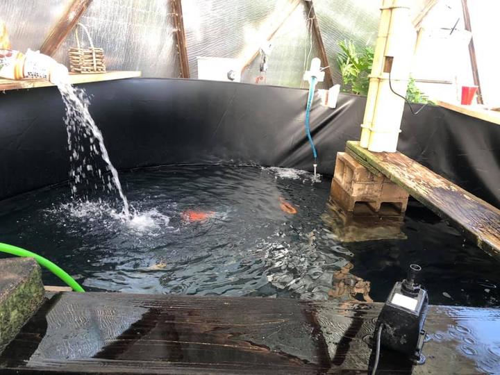 Custom Pond Liner for 33' Growing Dome Greenhouse