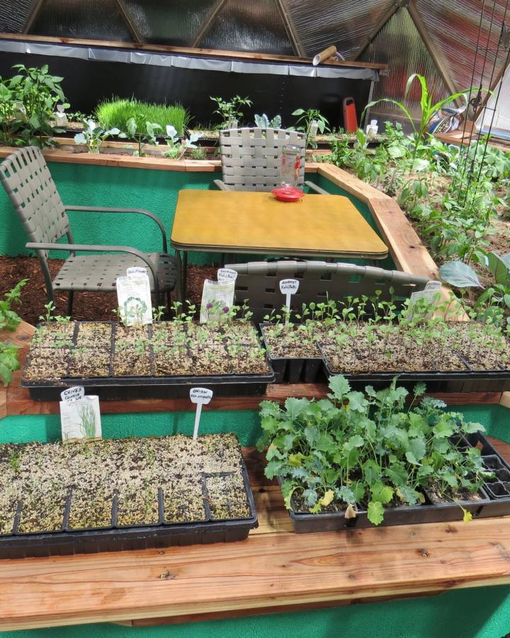 starts in sunshine gardens assisted living greenhouse